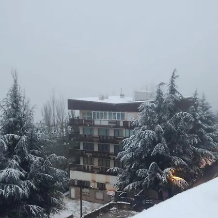 Apartment Brand New Very Cosy And Awesome Display Close To The Slope! Private Parking Sierra Nevada